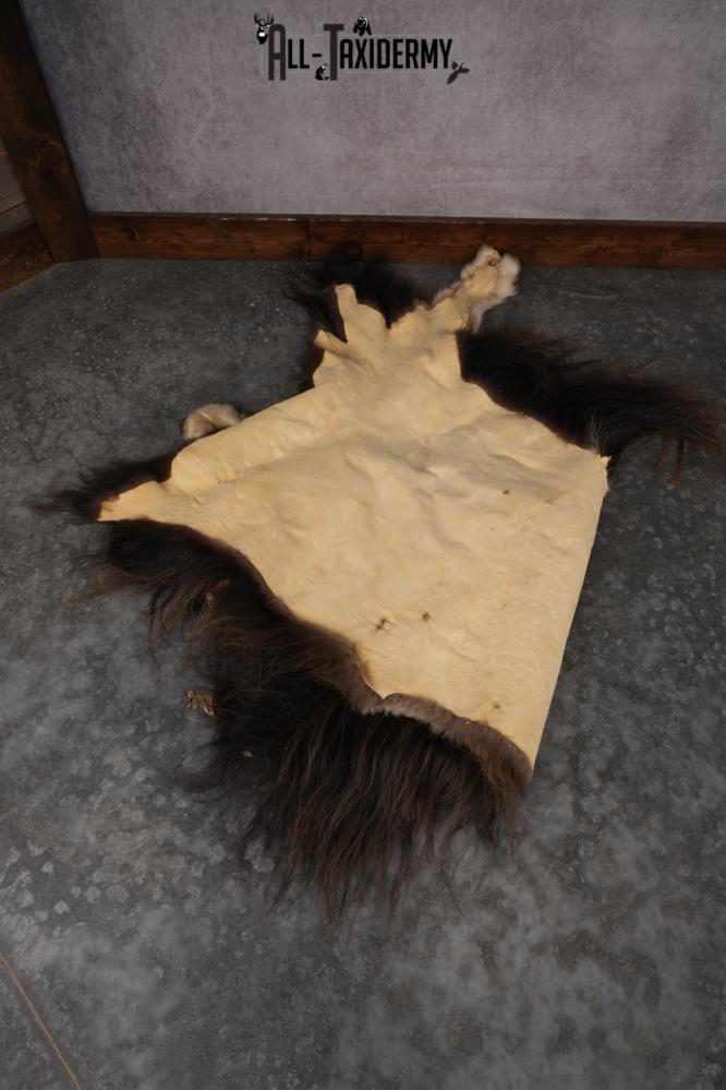 Musk Ox Back Half Hide SKU 2856 - Image 2