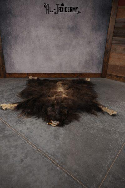 Musk Ox Full Body Hide SKU 2857