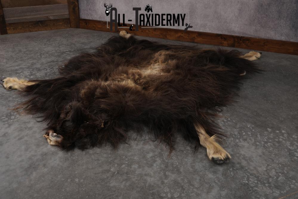 Musk Ox Full Body Hide SKU 2857 - Image 10