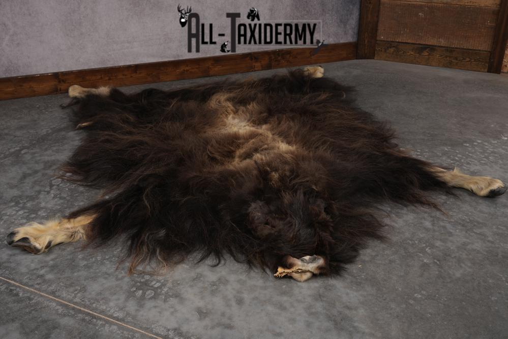 Musk Ox Full Body Hide SKU 2857 - Image 9