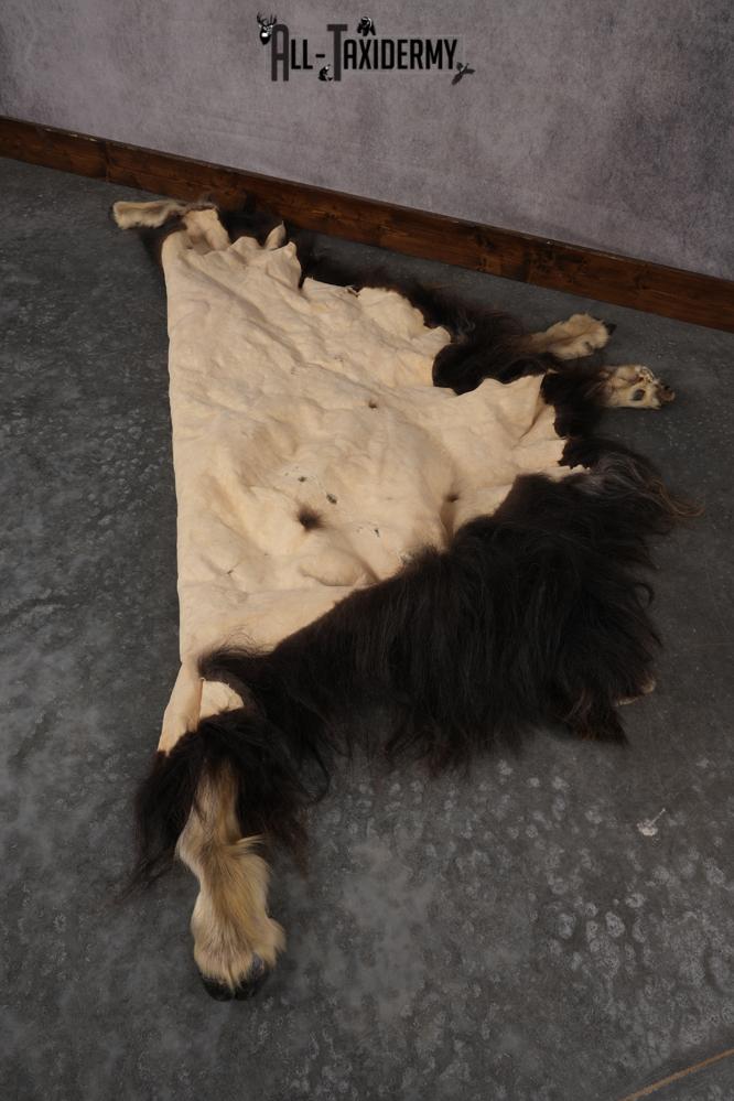 Musk Ox Full Body Hide SKU 2857 - Image 2