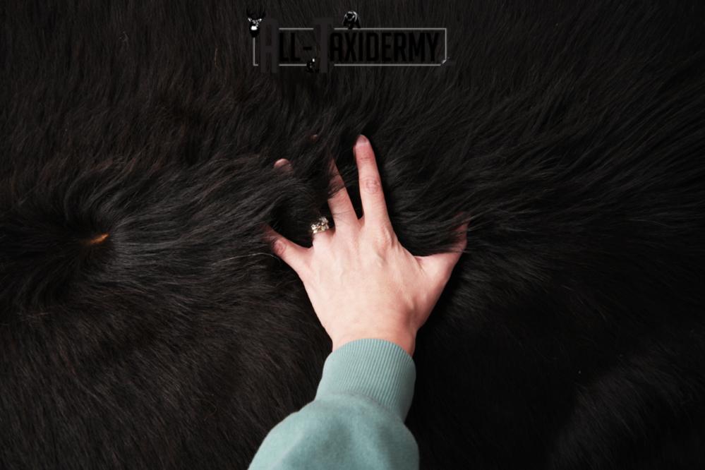 Horse Blanket Hide SKU 2828 - Image 3