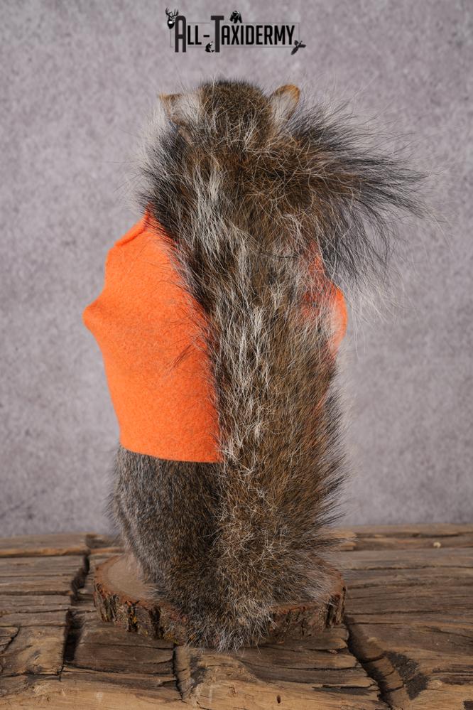 Hunting Squirrel with Rifle and Orange Vest SKU 2935 - Image 4