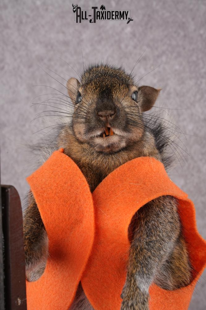 Hunting Squirrel with Rifle and Orange Vest SKU 2935 - Image 2