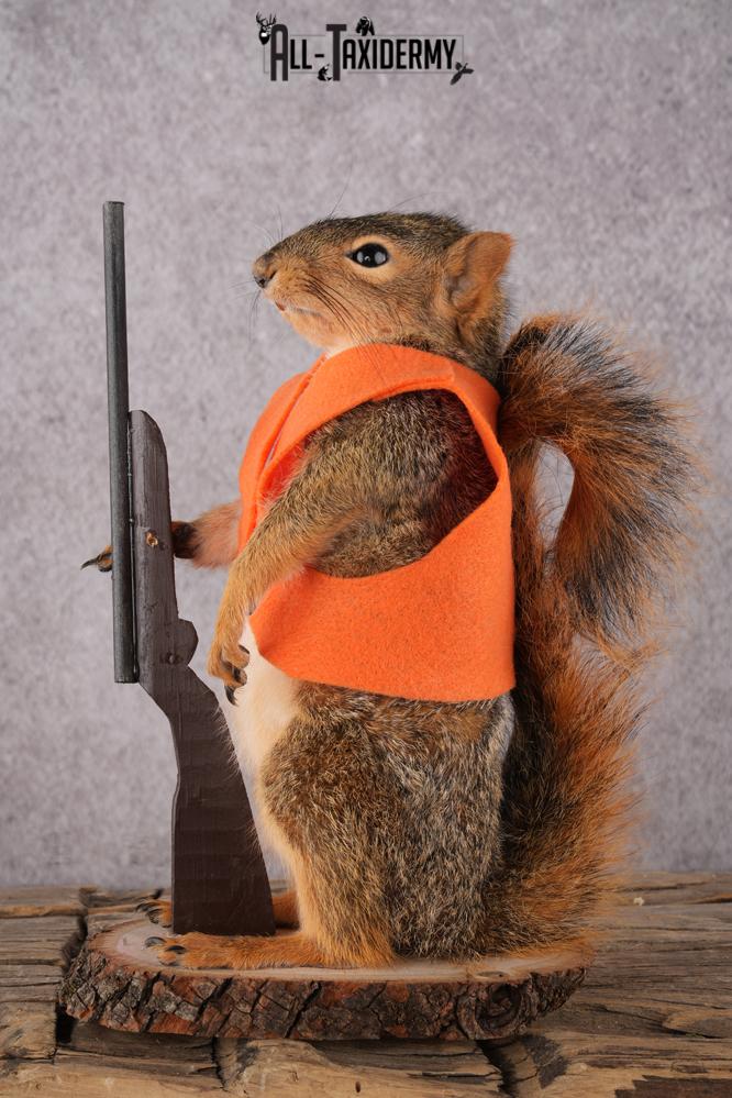Hunting Squirrel with Rifle and Orange Vest SKU 2934 - Image 5