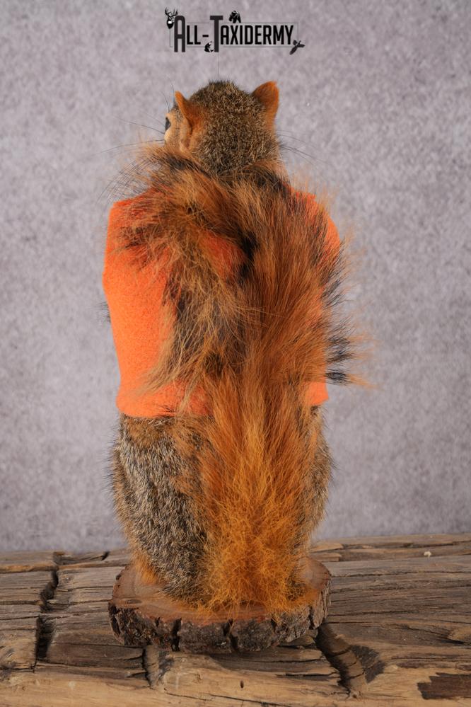 Hunting Squirrel with Rifle and Orange Vest SKU 2934 - Image 4