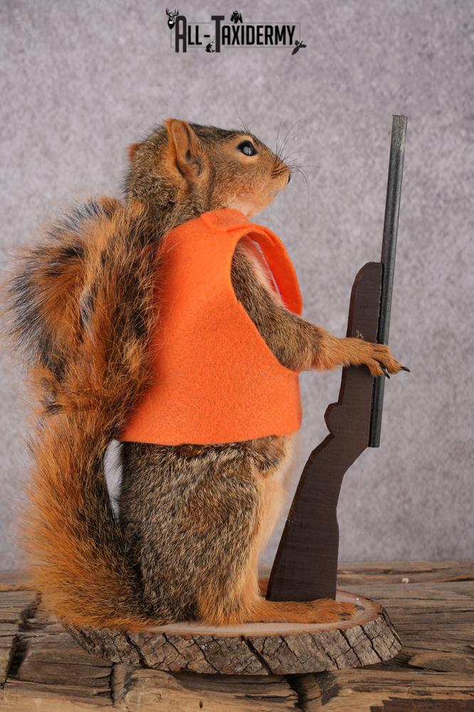 Hunting Squirrel with Rifle and Orange Vest SKU 2934 - Image 3
