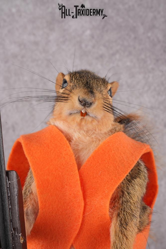 Hunting Squirrel with Rifle and Orange Vest SKU 2934 - Image 2