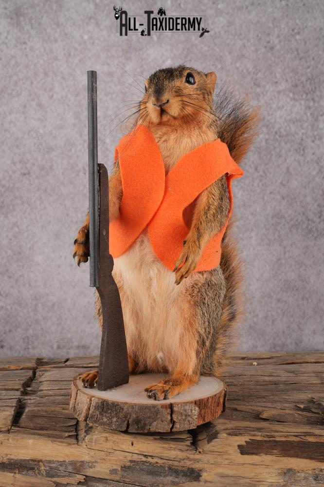 Hunting Squirrel with Rifle and Orange Vest SKU 2933