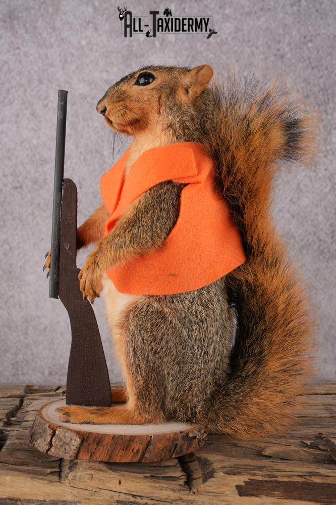 Hunting Squirrel with Rifle and Orange Vest SKU 2933 - Image 5