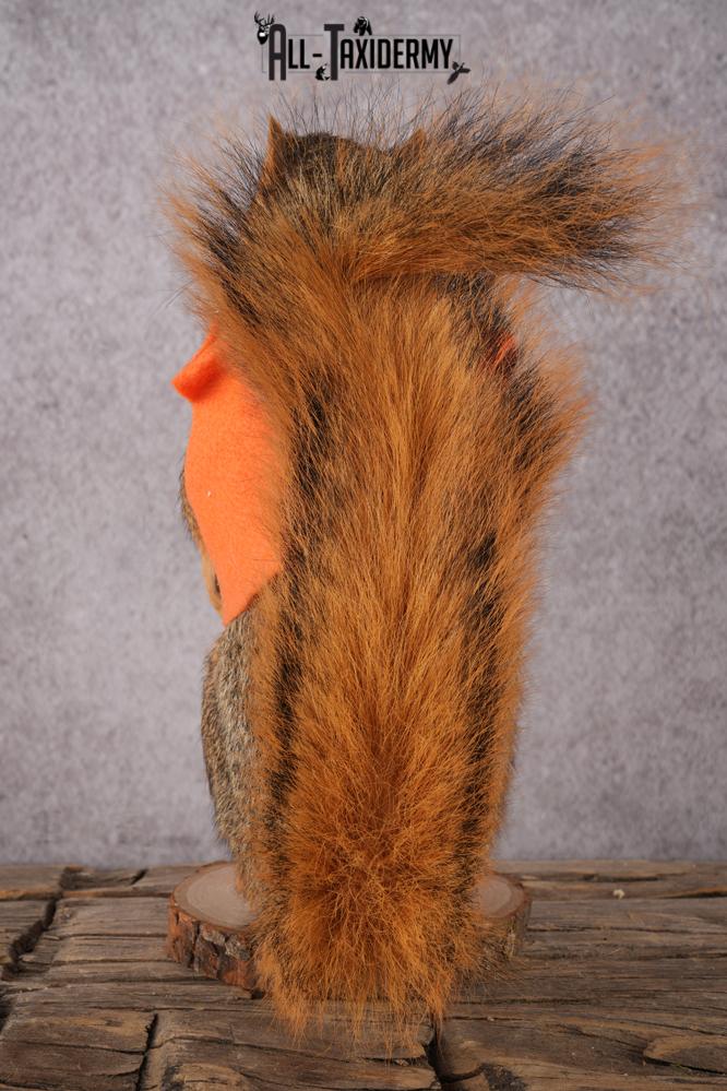 Hunting Squirrel with Rifle and Orange Vest SKU 2933 - Image 4