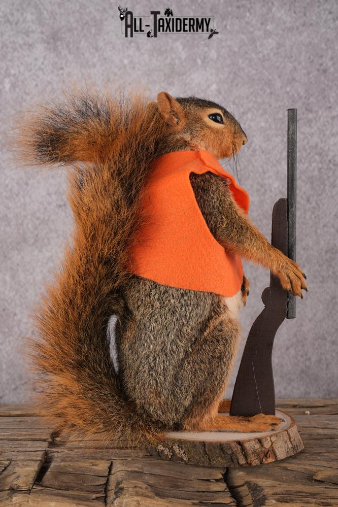 Hunting Squirrel with Rifle and Orange Vest SKU 2933 - Image 3