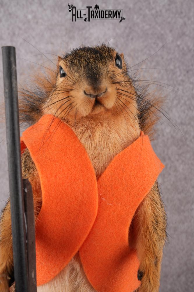 Hunting Squirrel with Rifle and Orange Vest SKU 2933 - Image 2