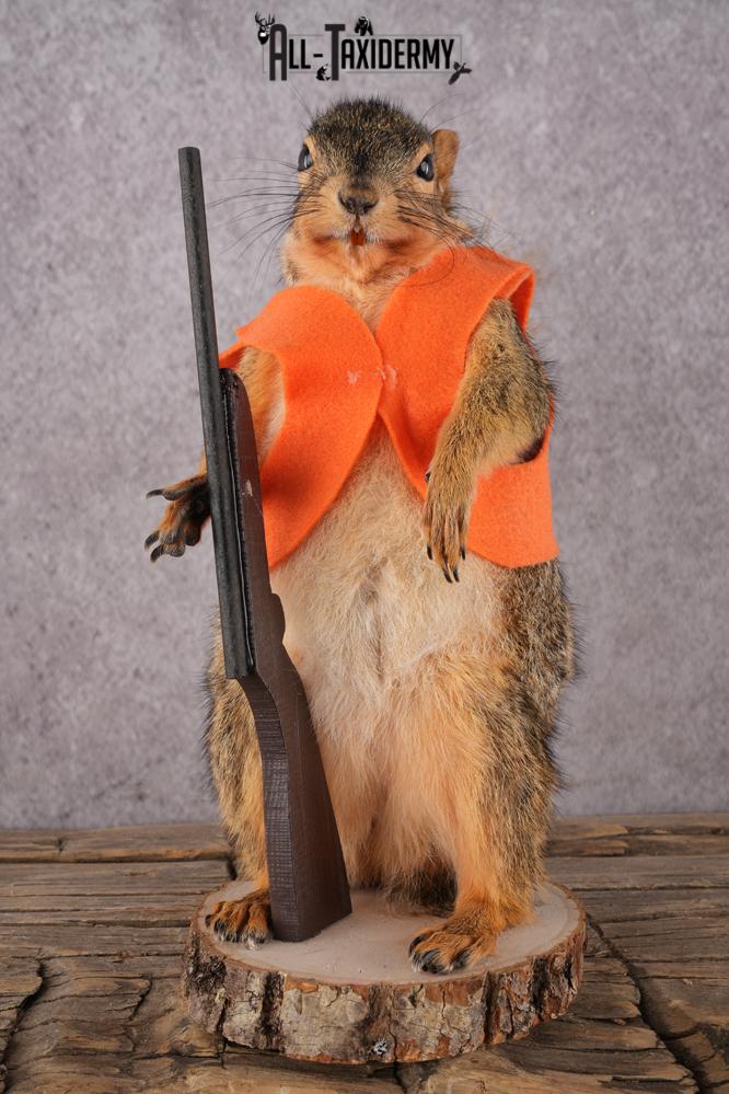Hunting Squirrel with Rifle and Orange Vest SKU 2932