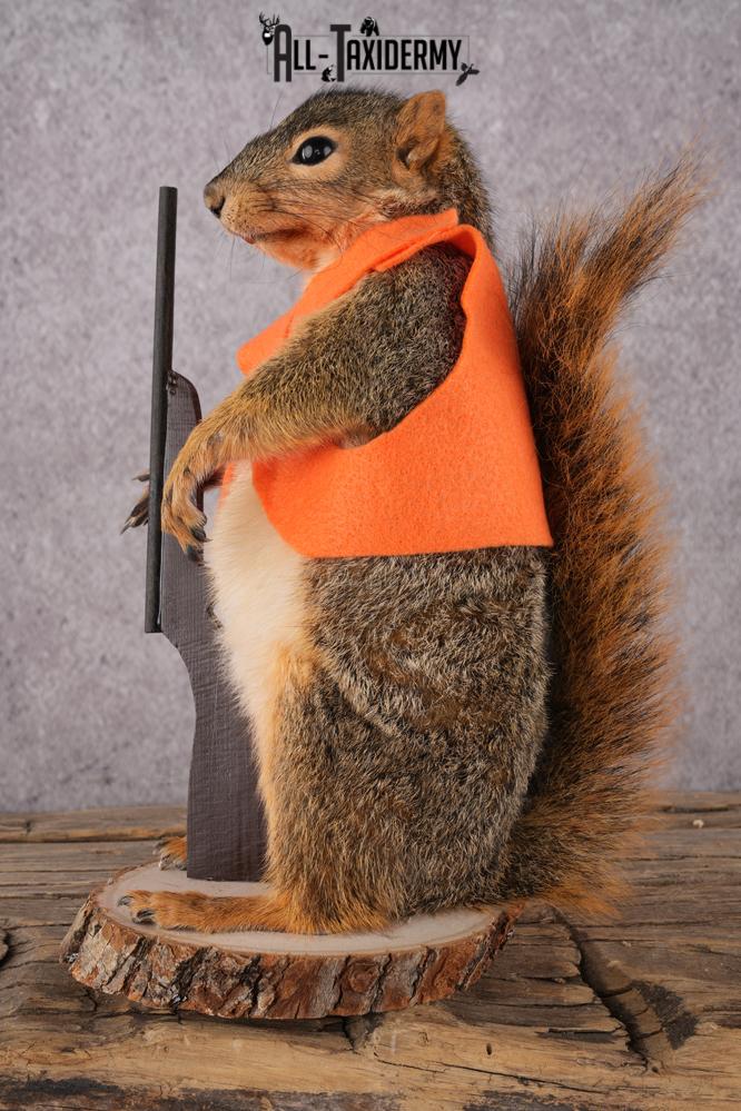 Hunting Squirrel with Rifle and Orange Vest SKU 2932 - Image 5