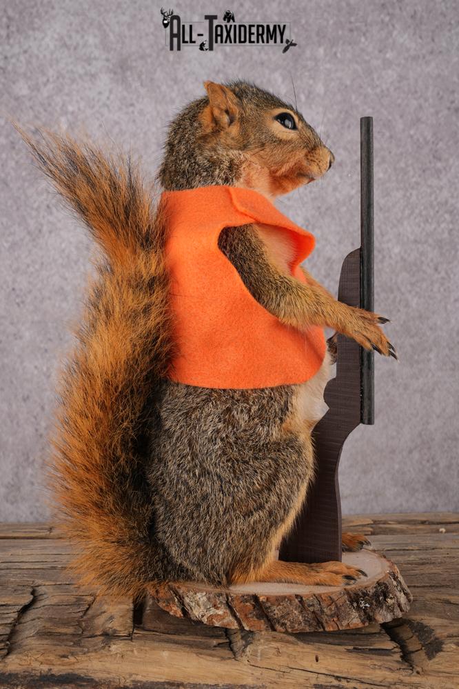 Hunting Squirrel with Rifle and Orange Vest SKU 2932 - Image 3