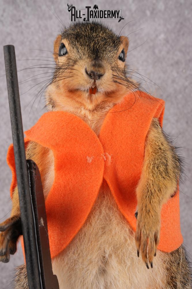 Hunting Squirrel with Rifle and Orange Vest SKU 2932 - Image 2