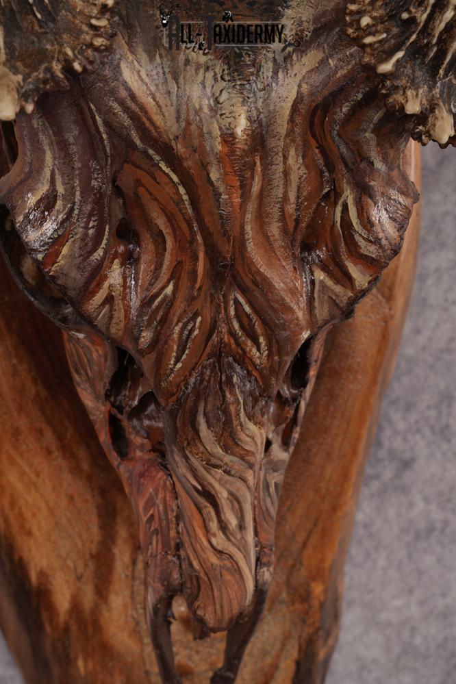 Painted Whitetail Deer Skull SKU 2918 - Image 3