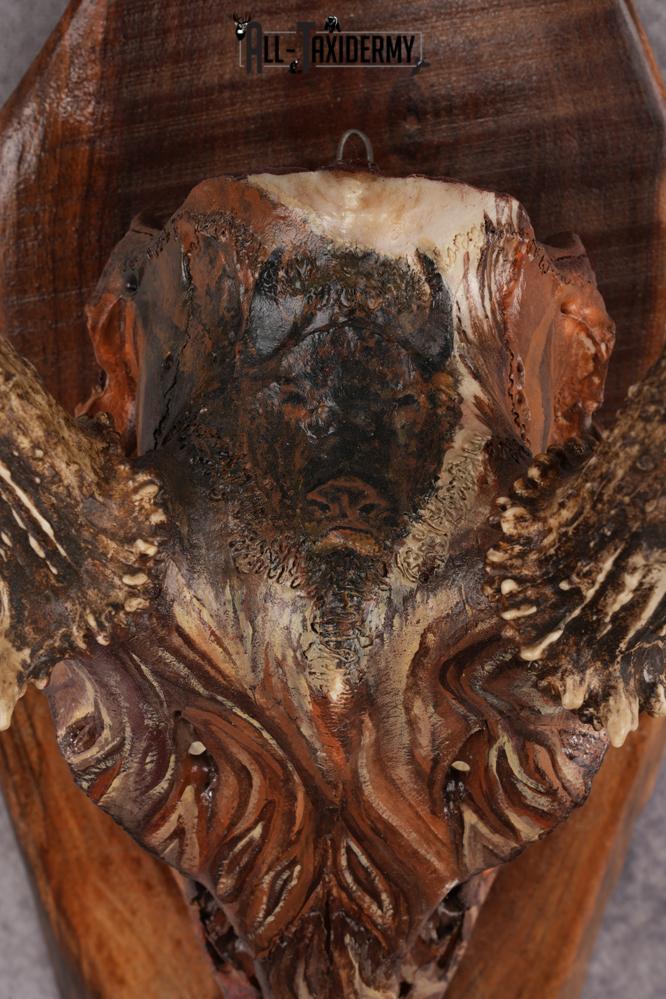 Painted Whitetail Deer Skull SKU 2918 - Image 2