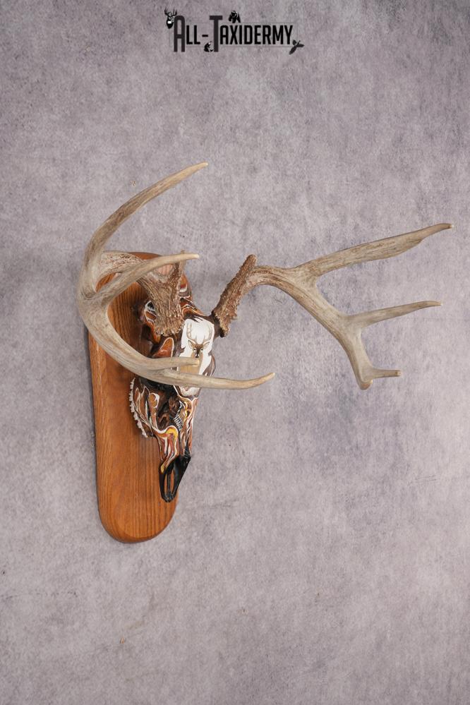 Painted Whitetail Deer Skull SKU 2915 - Image 4
