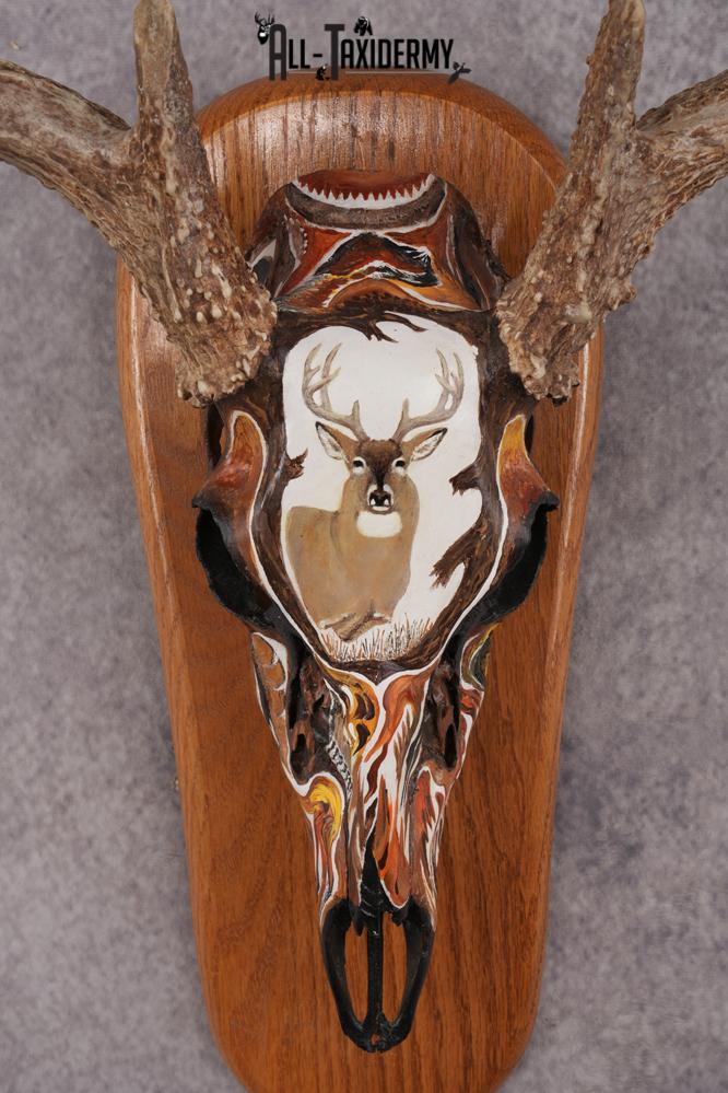 Painted Whitetail Deer Skull SKU 2915 - Image 2