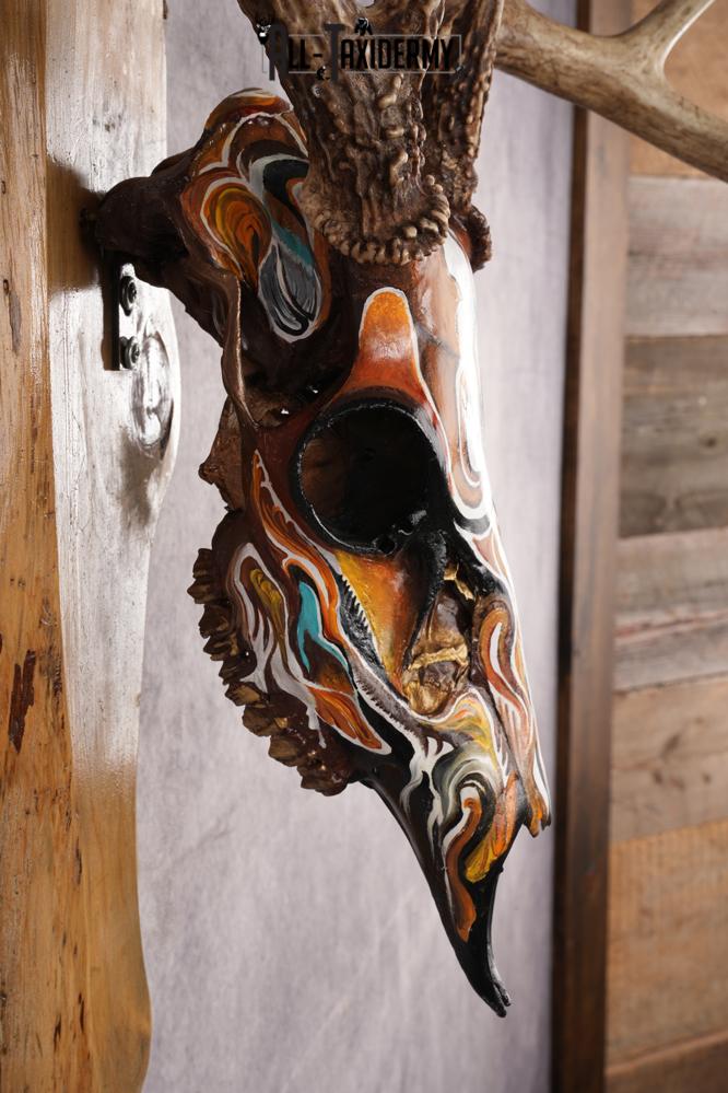 Painted Whitetail Deer Skull SKU 2914 - Image 3