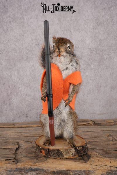 Hunting Red Squirrel SKU 3129
