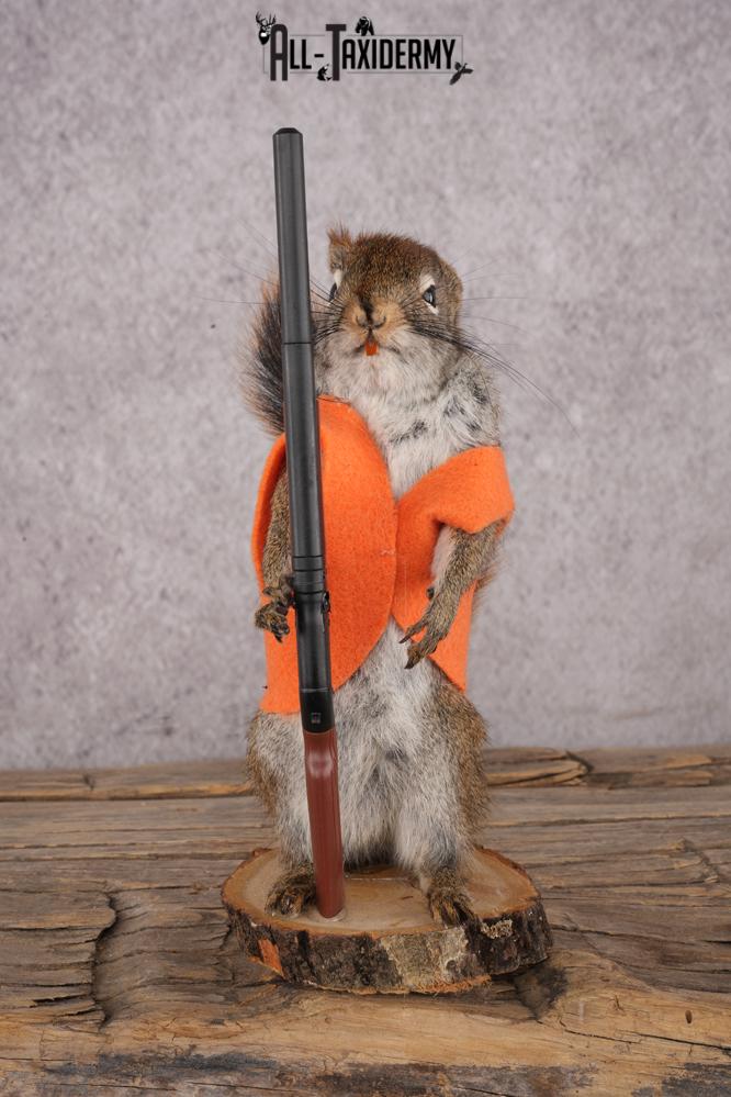 Hunting Red Squirrel SKU 3129