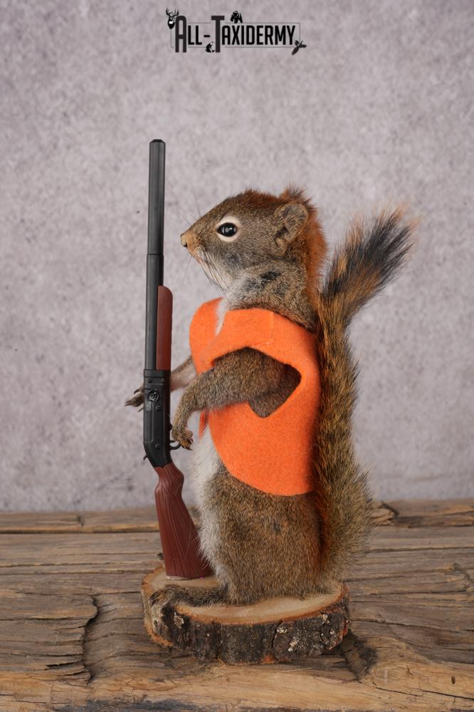 Hunting Red Squirrel SKU 3129 - Image 4