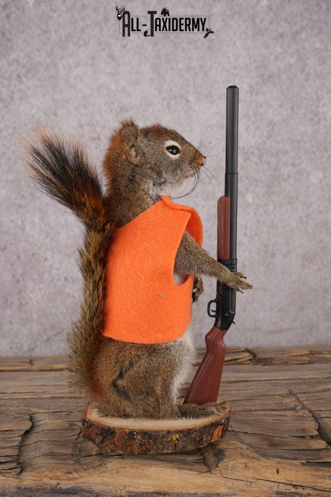 Hunting Red Squirrel SKU 3129 - Image 2