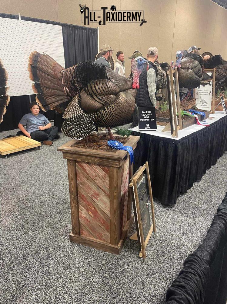 Eastern Turkey SKU 2996 - Image 13