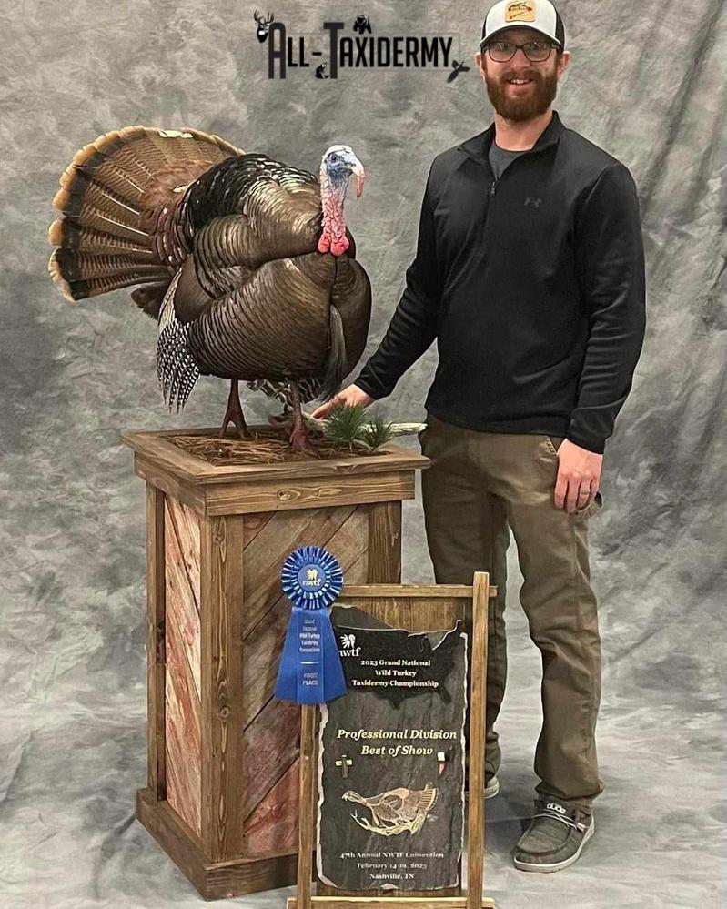 Eastern Turkey SKU 2996 - Image 12