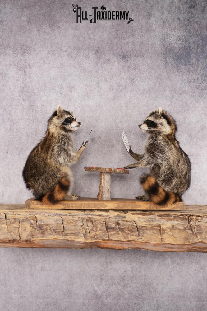 Poker Playing Raccoons SKU 3077