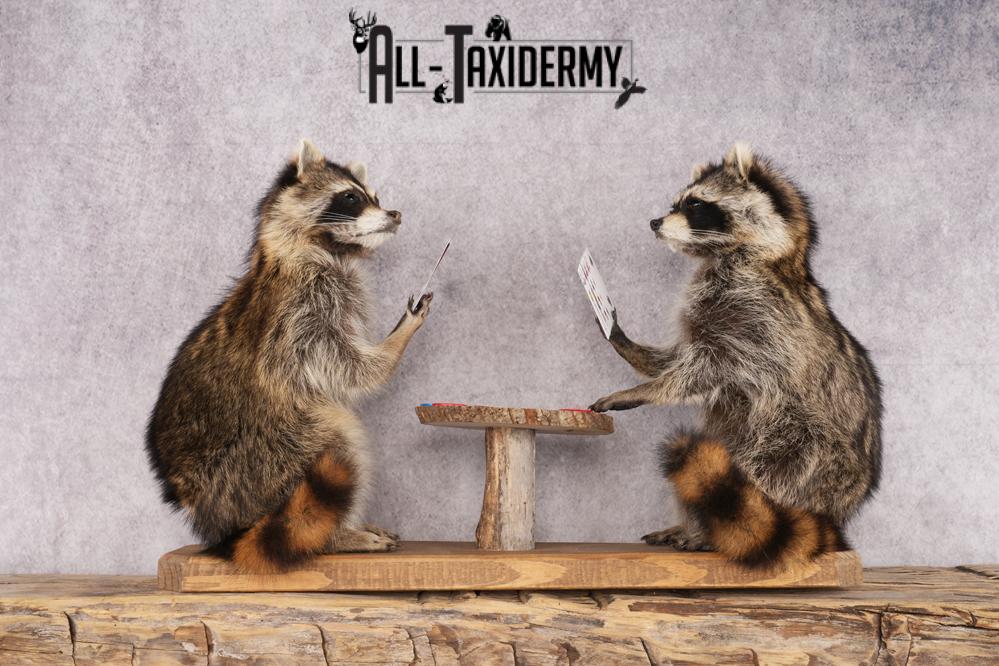 Poker Playing Raccoons SKU 3077 - Image 8