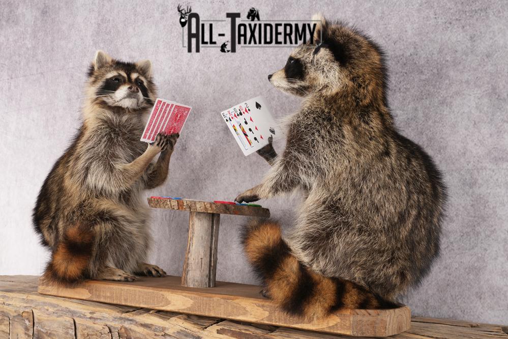Poker Playing Raccoons SKU 3077 - Image 7
