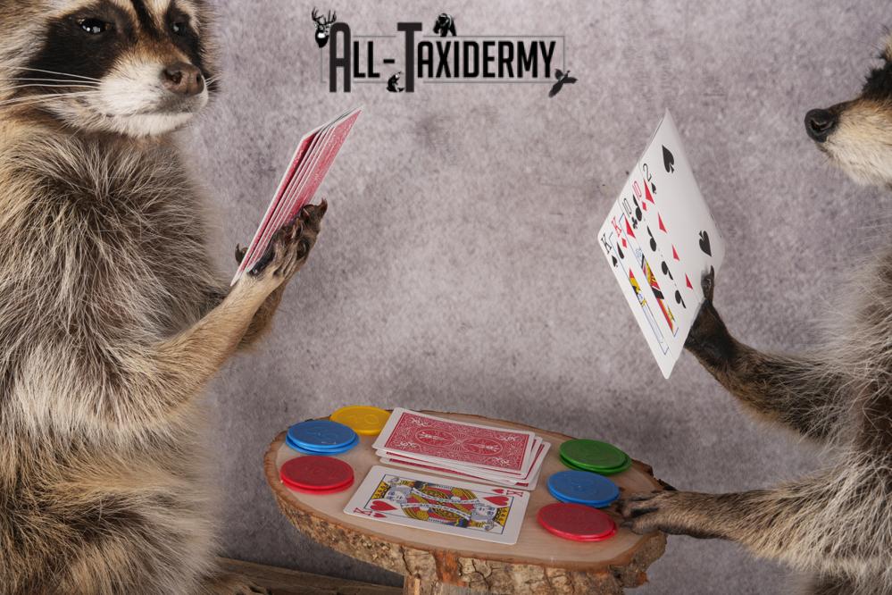 Poker Playing Raccoons SKU 3077 - Image 3
