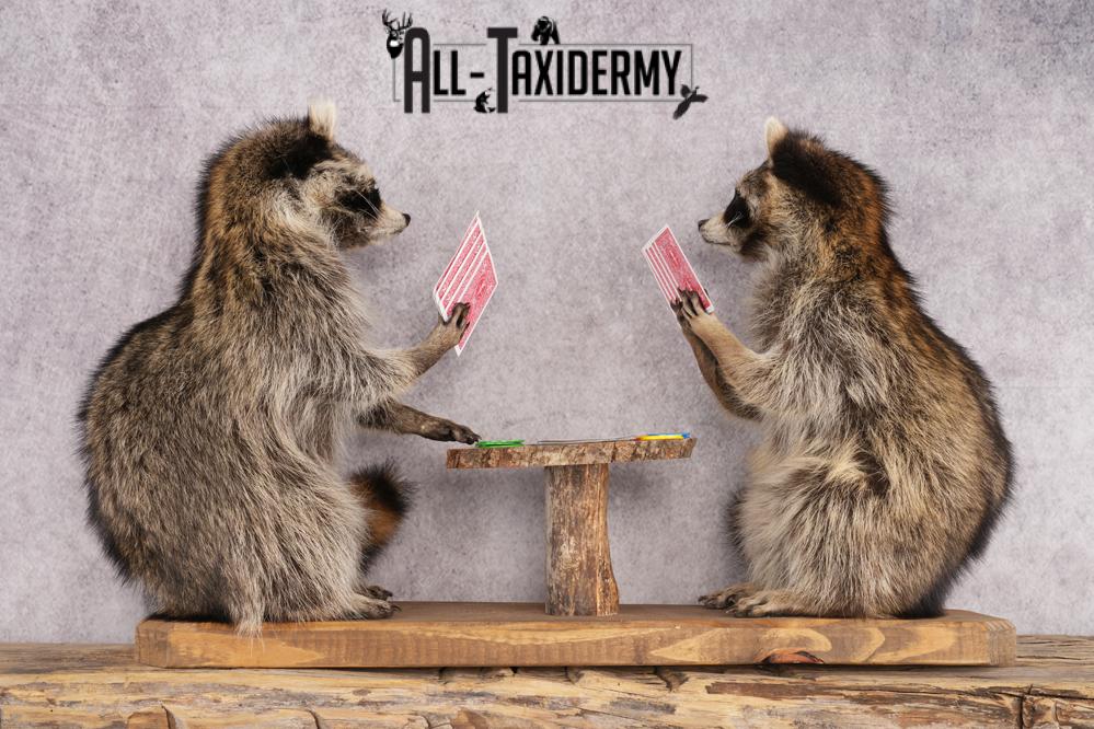 Poker Playing Raccoons SKU 3077 - Image 2