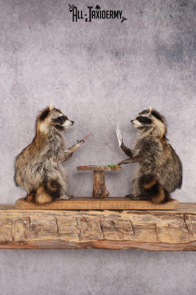 Poker Playing Raccoons SKU 3076