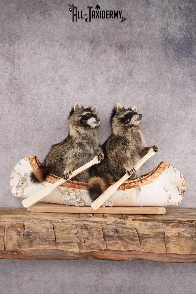 2 Raccoons in a Canoe SKU 3092