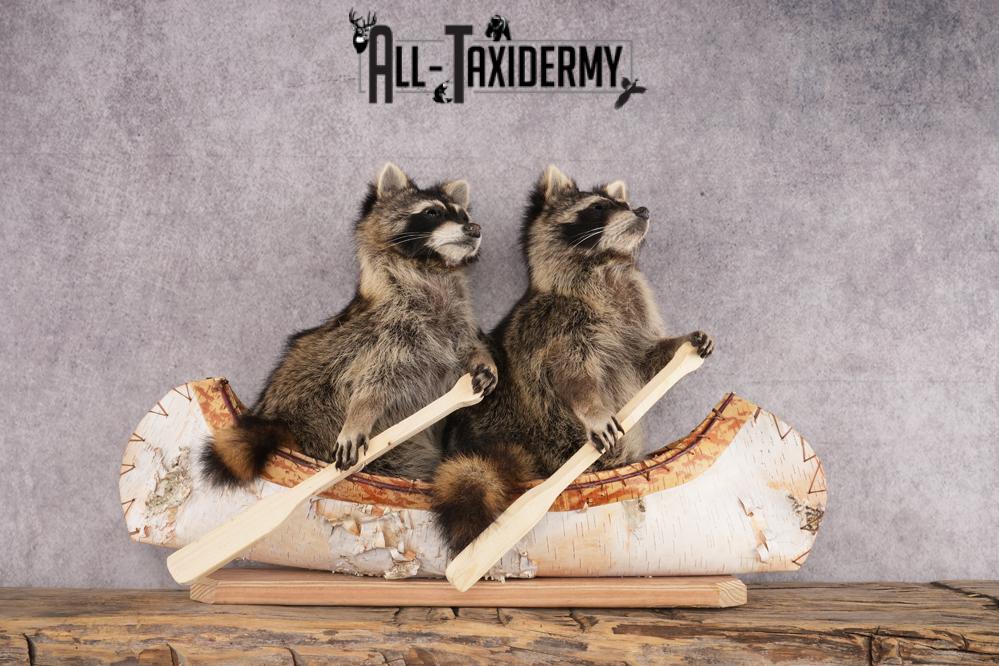 2 Raccoons in a Canoe SKU 3092 - Image 7