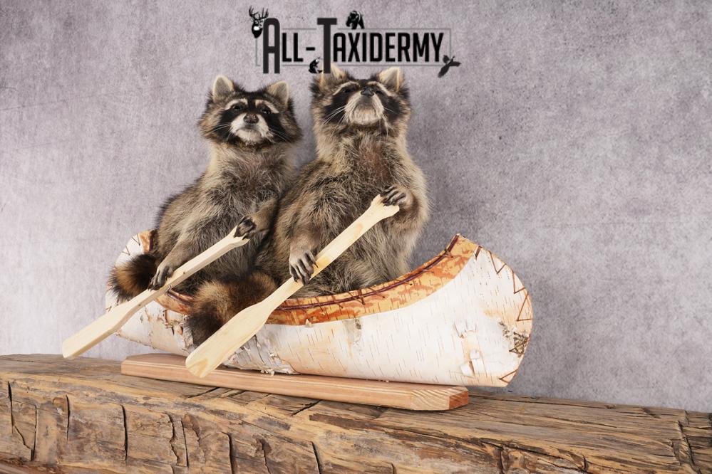 2 Raccoons in a Canoe SKU 3092 - Image 6