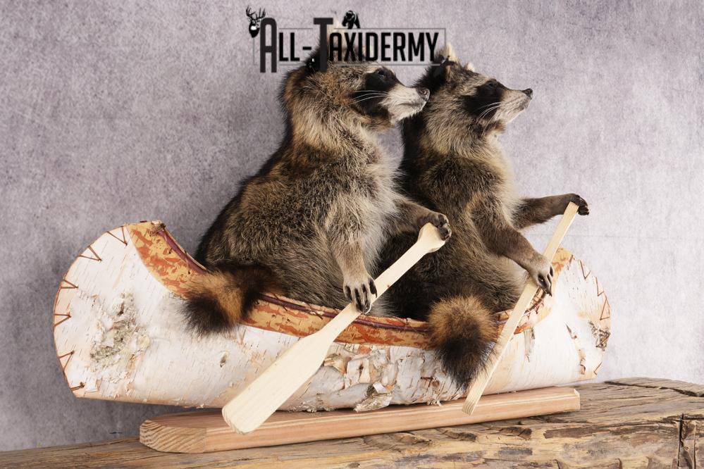 2 Raccoons in a Canoe SKU 3092 - Image 5