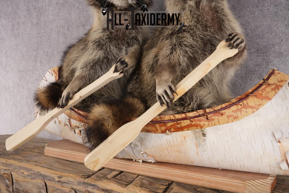 2 Raccoons in a Canoe SKU 3092 - Image 3