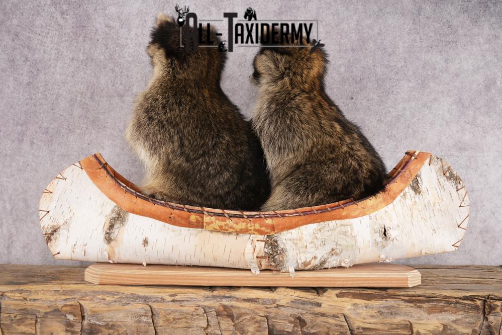2 Raccoons in a Canoe SKU 3092 - Image 2