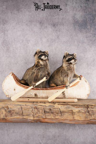 2 Raccoons in a Canoe SKU 3090