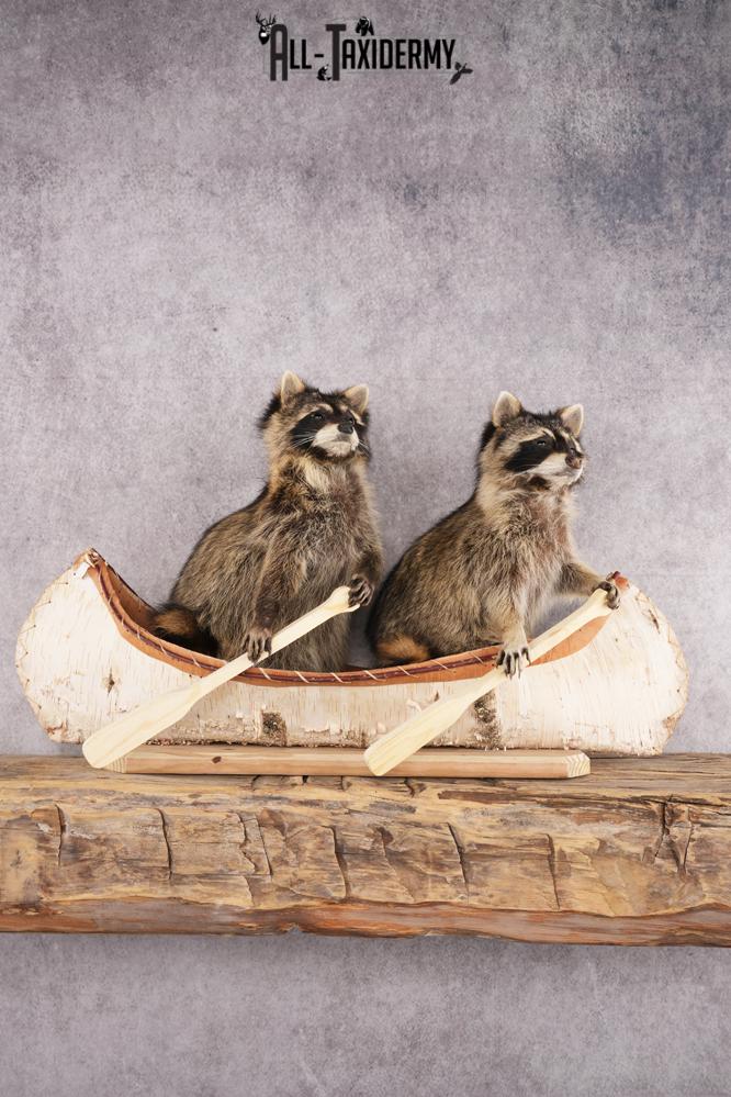 2 Raccoons in a Canoe SKU 3090