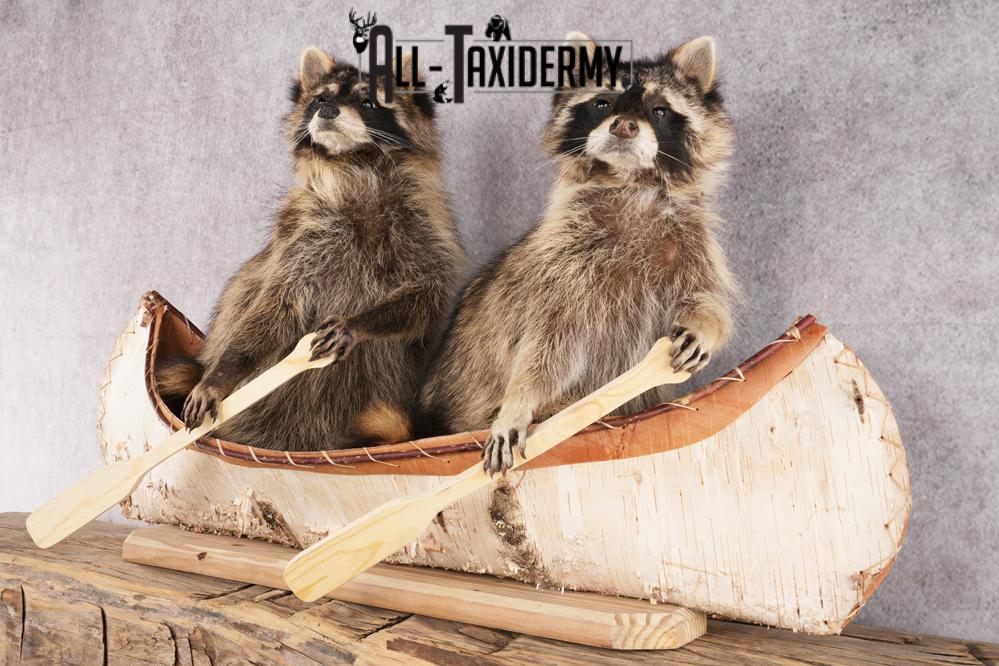 2 Raccoons in a Canoe SKU 3090 - Image 4