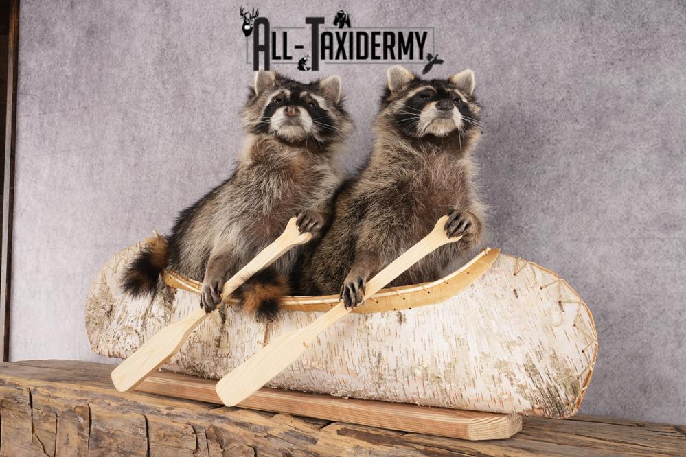 2 Raccoons in a Canoe SKU 3091 - Image 5