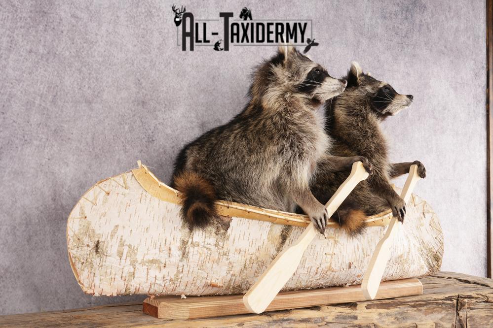 2 Raccoons in a Canoe SKU 3091 - Image 4