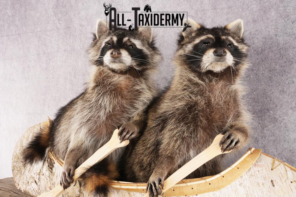 2 Raccoons in a Canoe SKU 3091 - Image 3